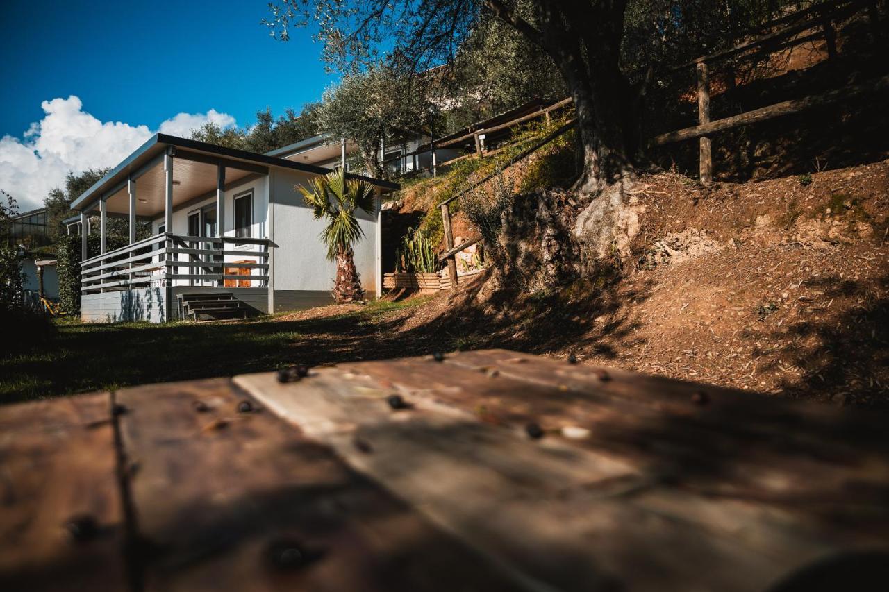 Agriturismo Rose Di Pietra Пьетра-Лигуре Экстерьер фото