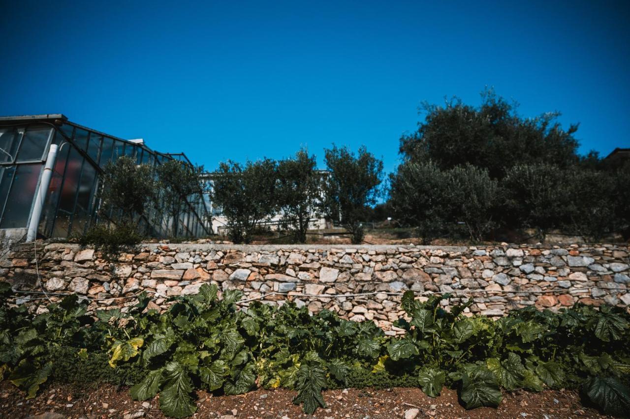 Agriturismo Rose Di Pietra Пьетра-Лигуре Экстерьер фото