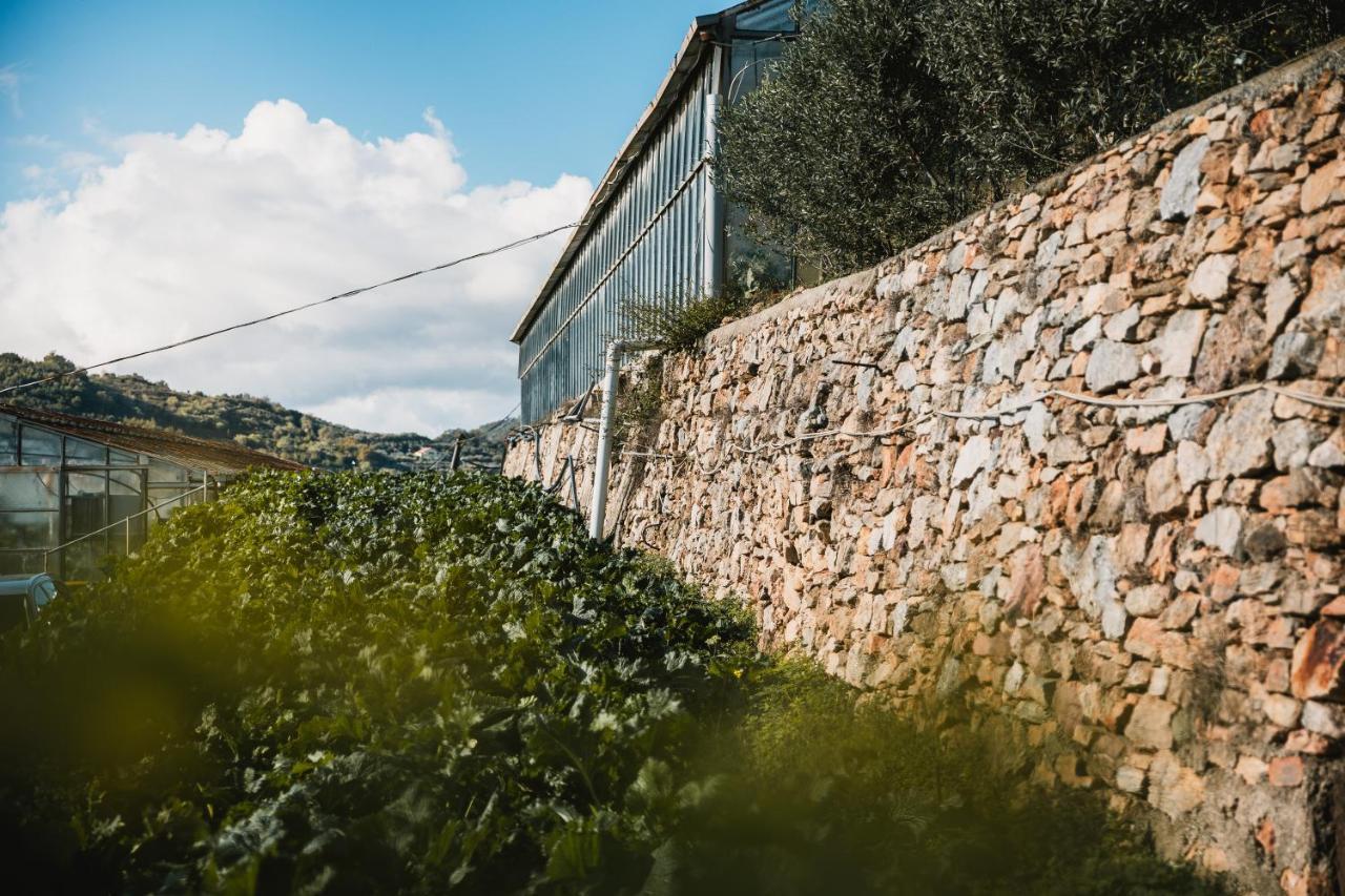 Agriturismo Rose Di Pietra Пьетра-Лигуре Экстерьер фото